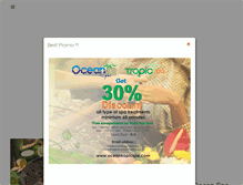 Tablet Screenshot of oceantropicspa.com
